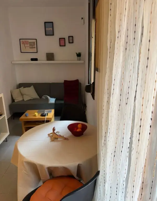 Bright student apartment in La Barceloneta Barcelona with balcony air conditioning and furnished interiors